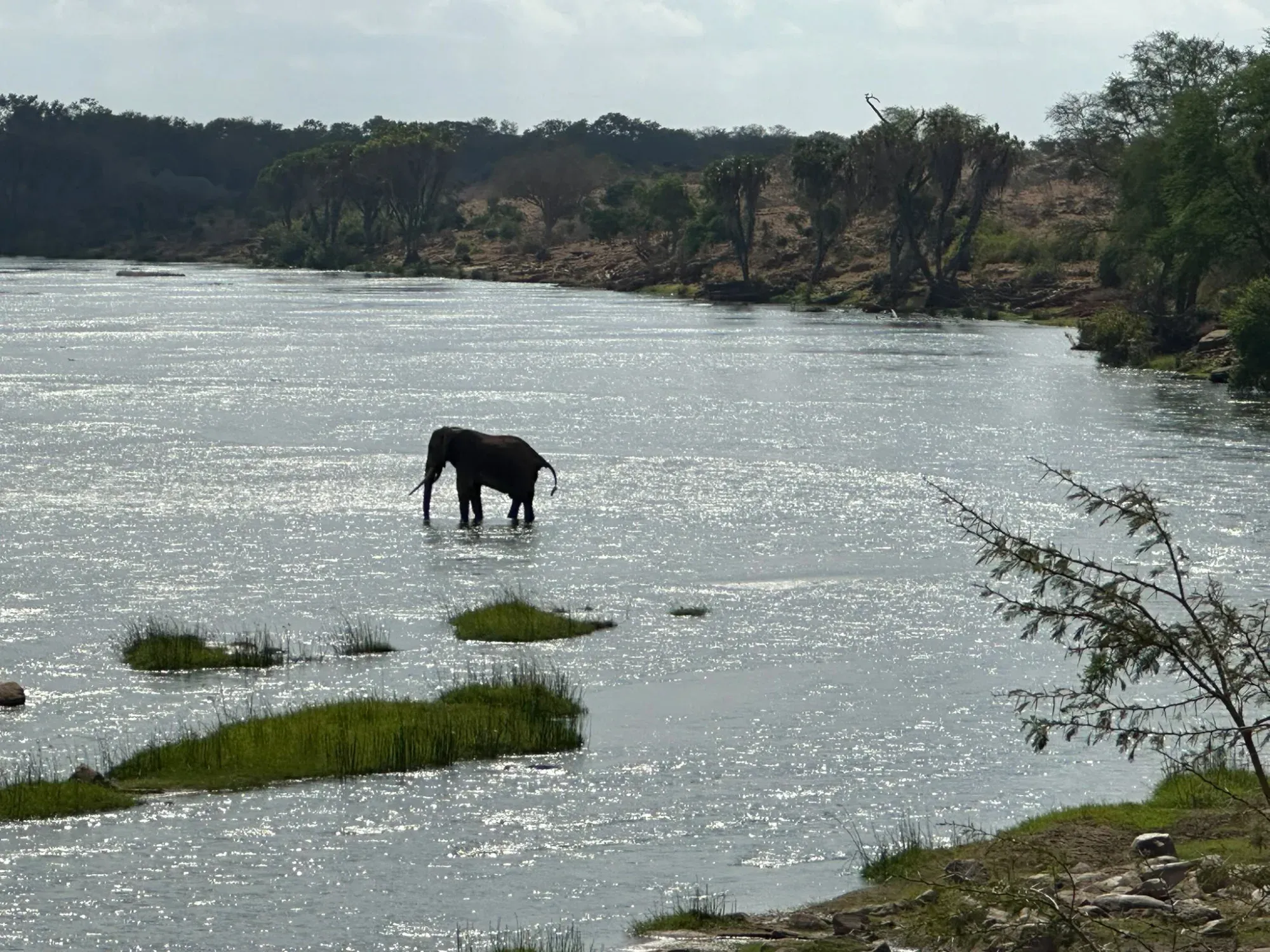 Während wir geschwommen sind hat einfach ein Elefant den Fluss gequert
