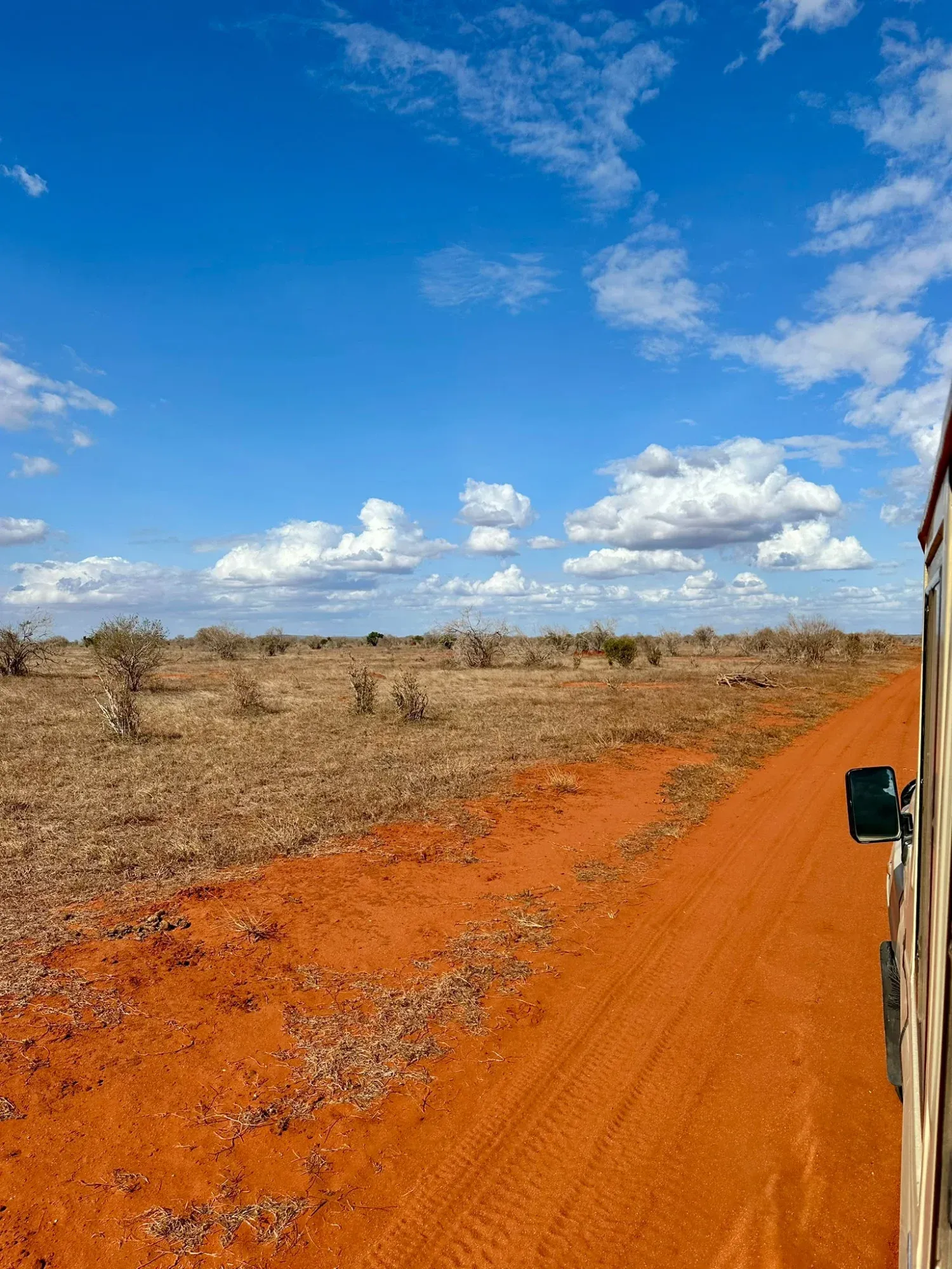 Safari in Kenia