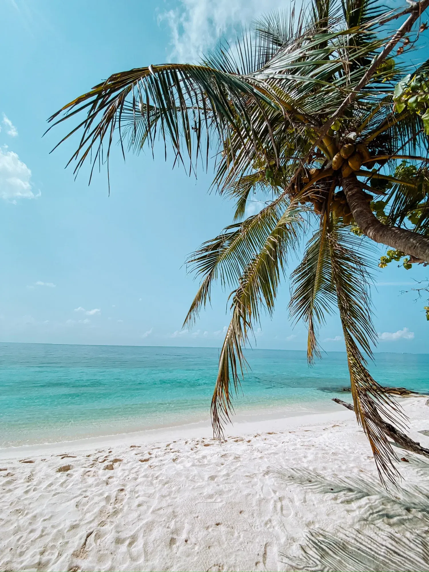 Die Insel kann man in 15min gemütlich umrunden