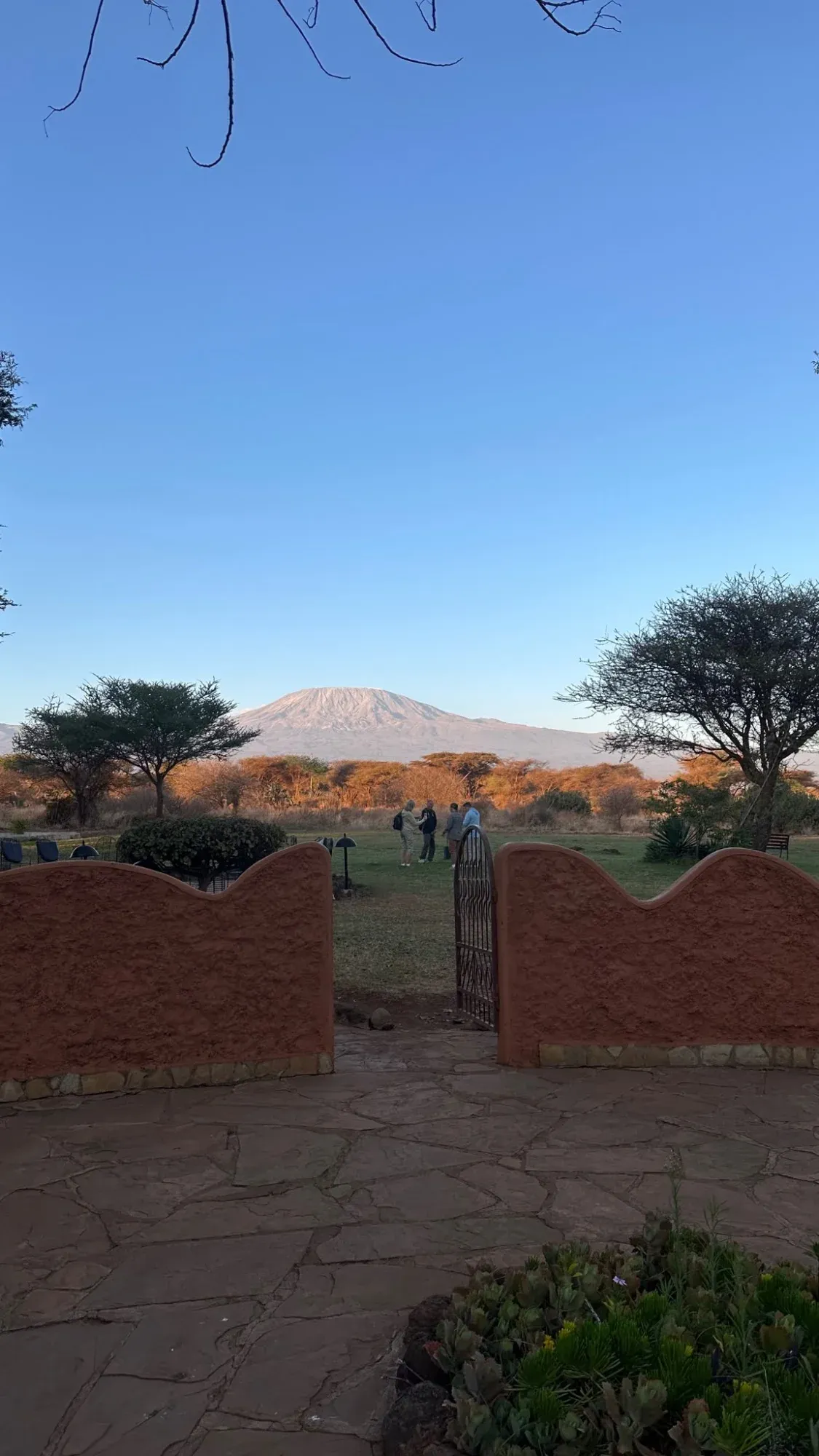 Blick auf den Kilimandscharo vom Frühstücksbereich aus der Sopa Lodge Amboseli 